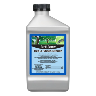 Untitled design (13)